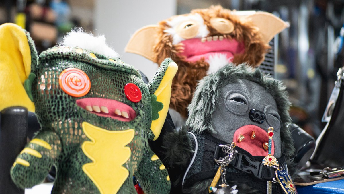 ミケ (@miketarozaemon) / Posts / X