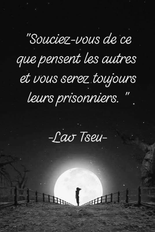 yvan_theriault's tweet photo. https://t.co/VEc4sEaiPS