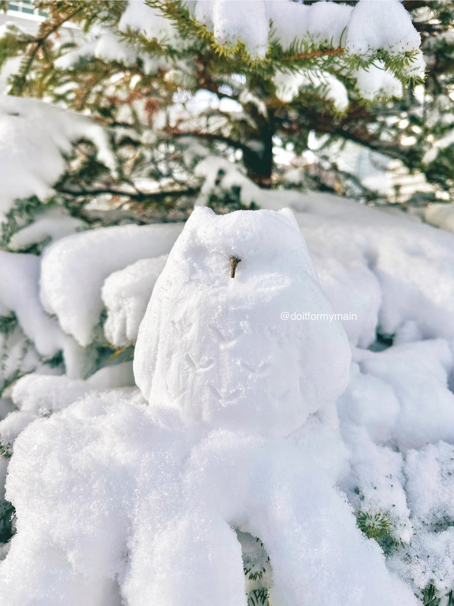 🦉 (((I tried my best)))