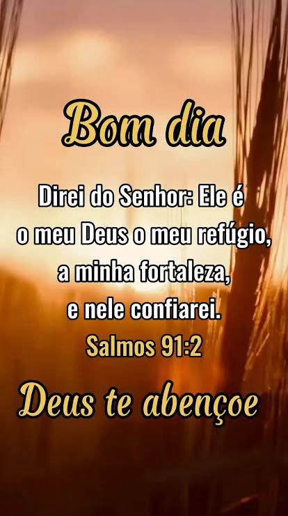 DecoNetto's tweet image. 