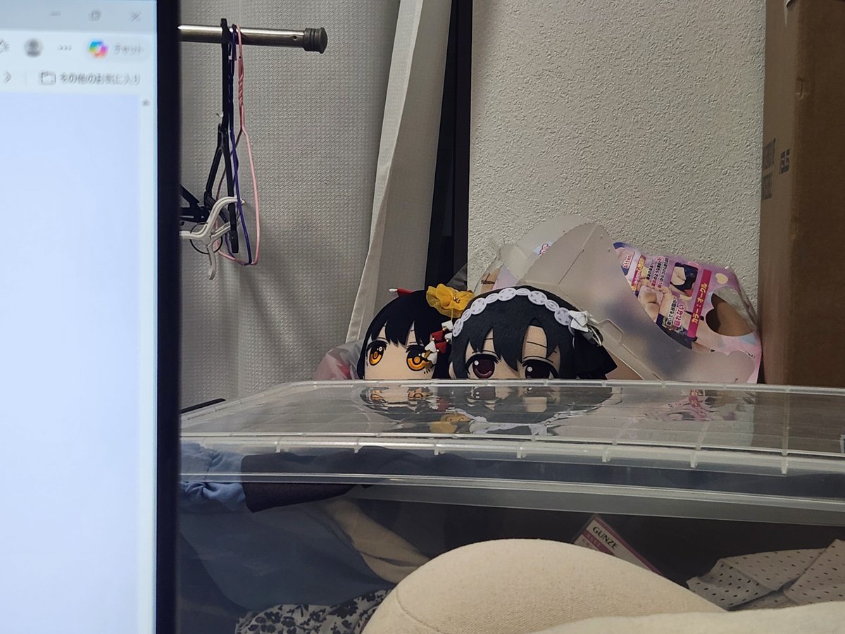 ほたぬいがこちらを見つめている…
#白菊ほたる