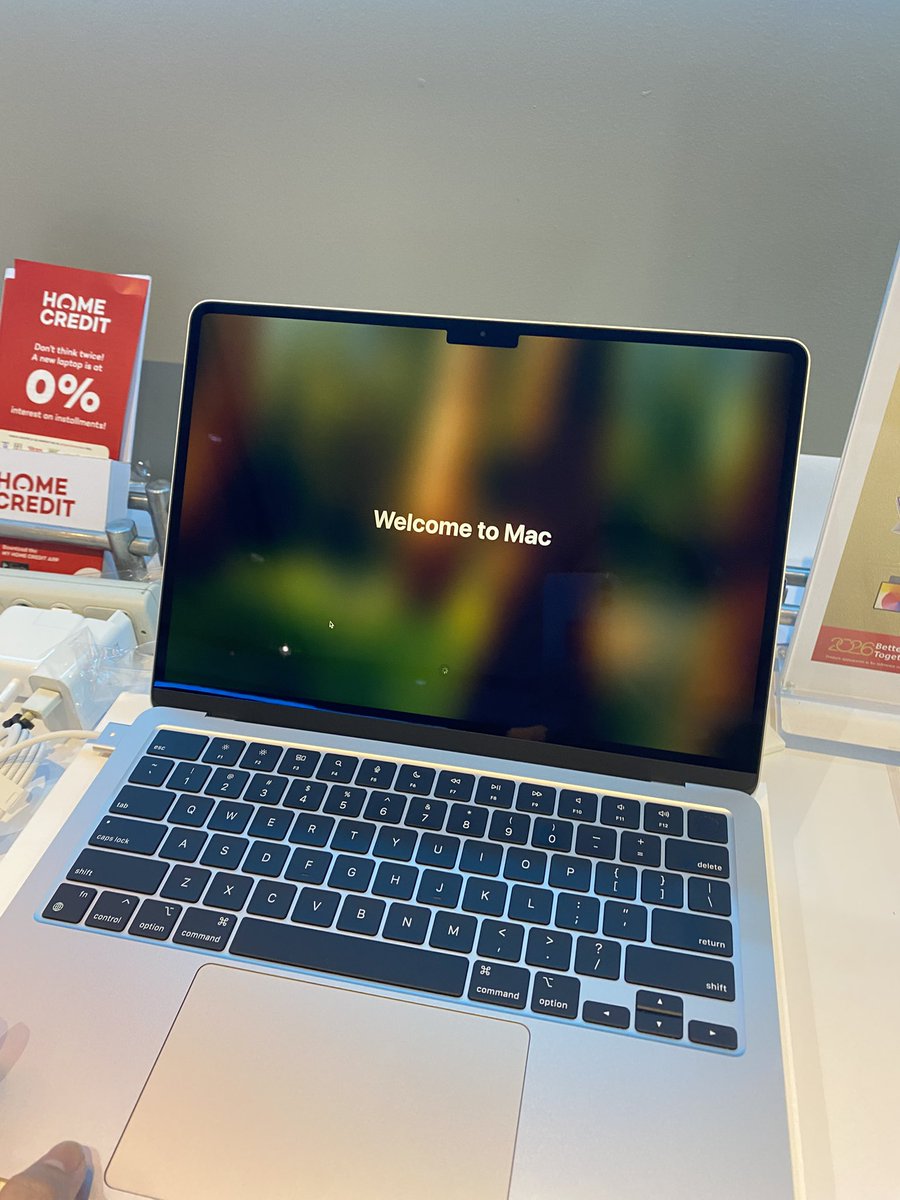 Bea — open tweet media