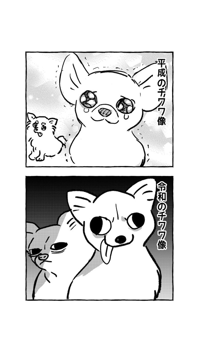 最近すきなこと、チワワの扱いの変化 