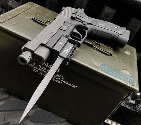 tyrue1's tweet image. 권총+총검=낭만