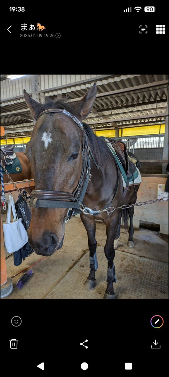 今日は初乗り🏇
久しぶりで駈歩と速歩馬場で脚がガタガタでした😭
洗い場でトゥザクラウン君にクシャミで緑色（食事後）の鼻とよだれをつけられて爆笑しました😂
今年もよろしくお願いします🙏