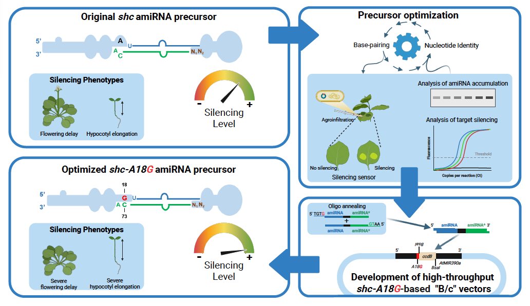 Alberto Carbonell Lab tweet media