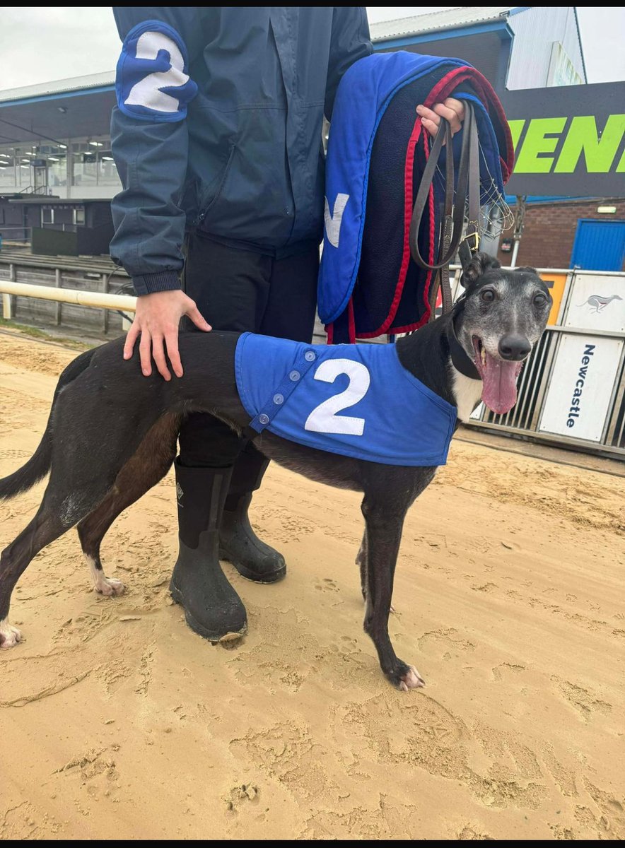 Zenith Racing tweet media