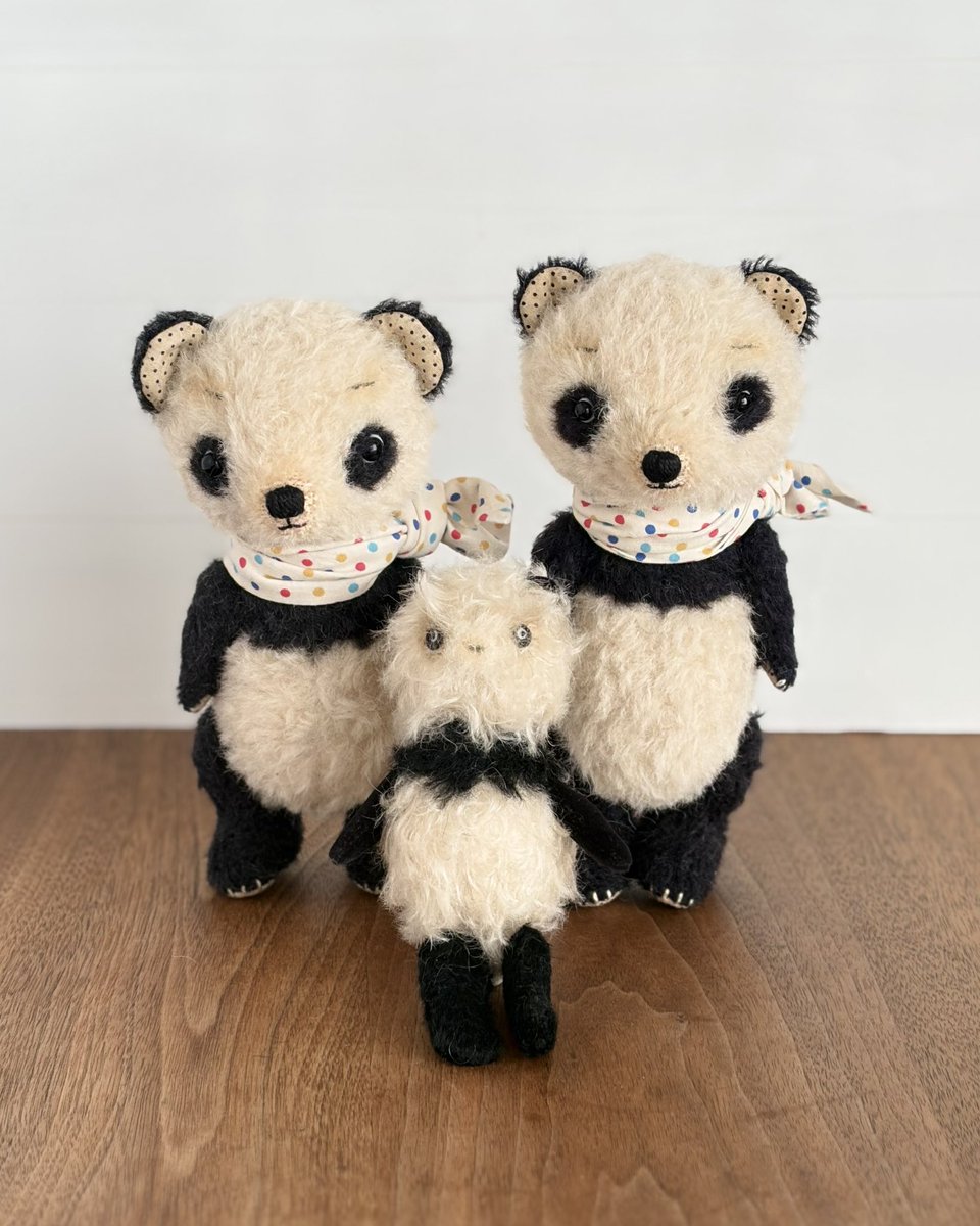 テディベア パンダ まとめ売り 本日からスタート！ 🐼「年越しパンダ展 vol.14」🐼 パンダだらけの