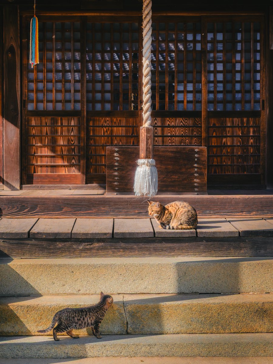 神域ひなたぼっこ、開放中.