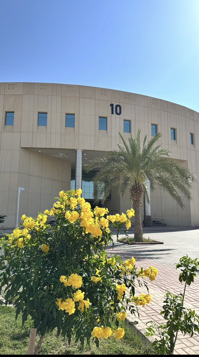 Ph.Saleh,N,Al-Raadan tweet media