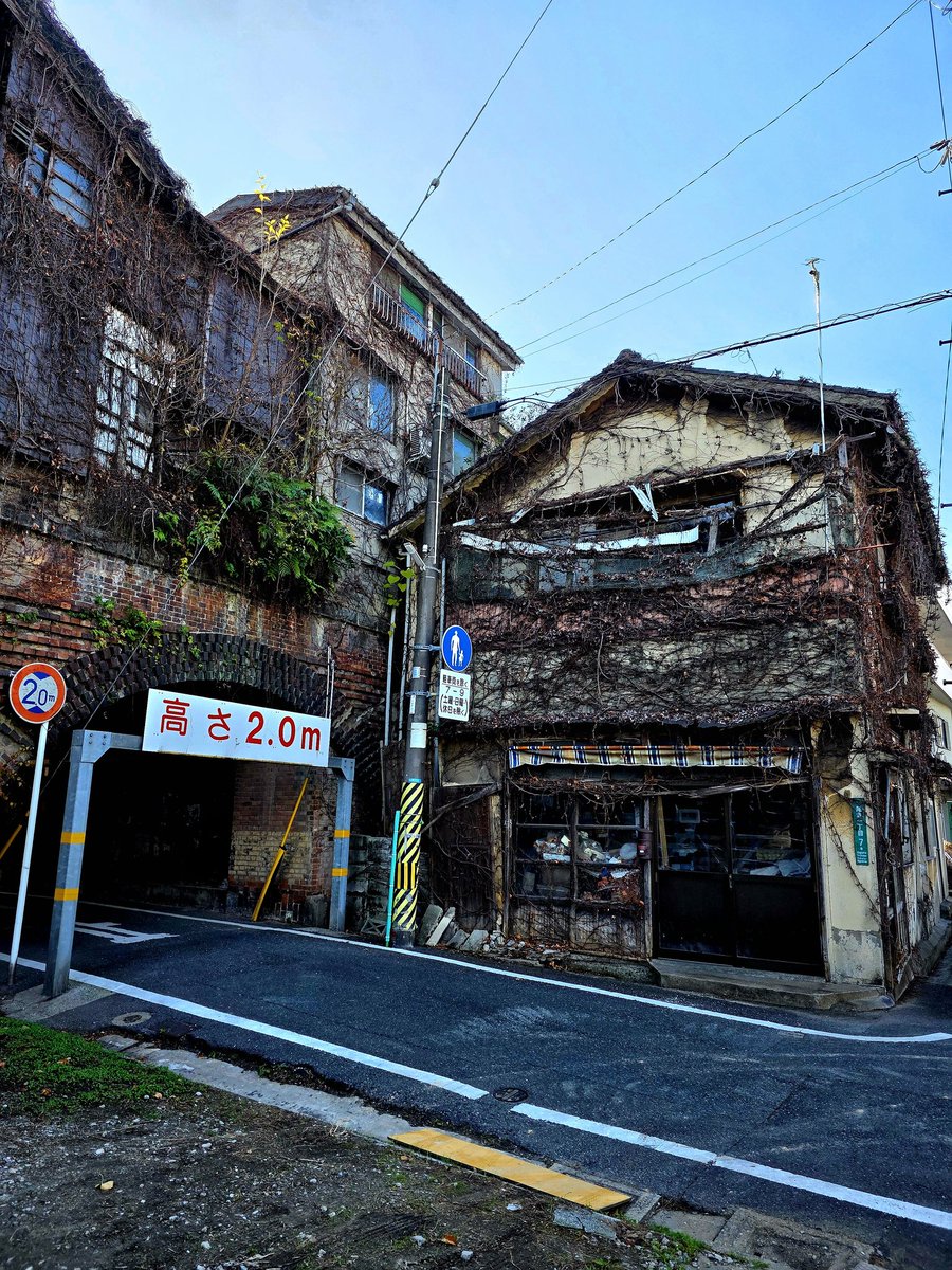 さくさく半田 (@sakusaku_handa) / Posts / X