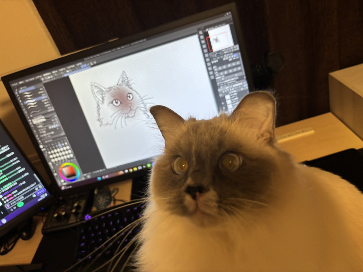 noshiojisa's tweet photo. 金曜日猫🐈 https://t.co/IuGIauBIL9