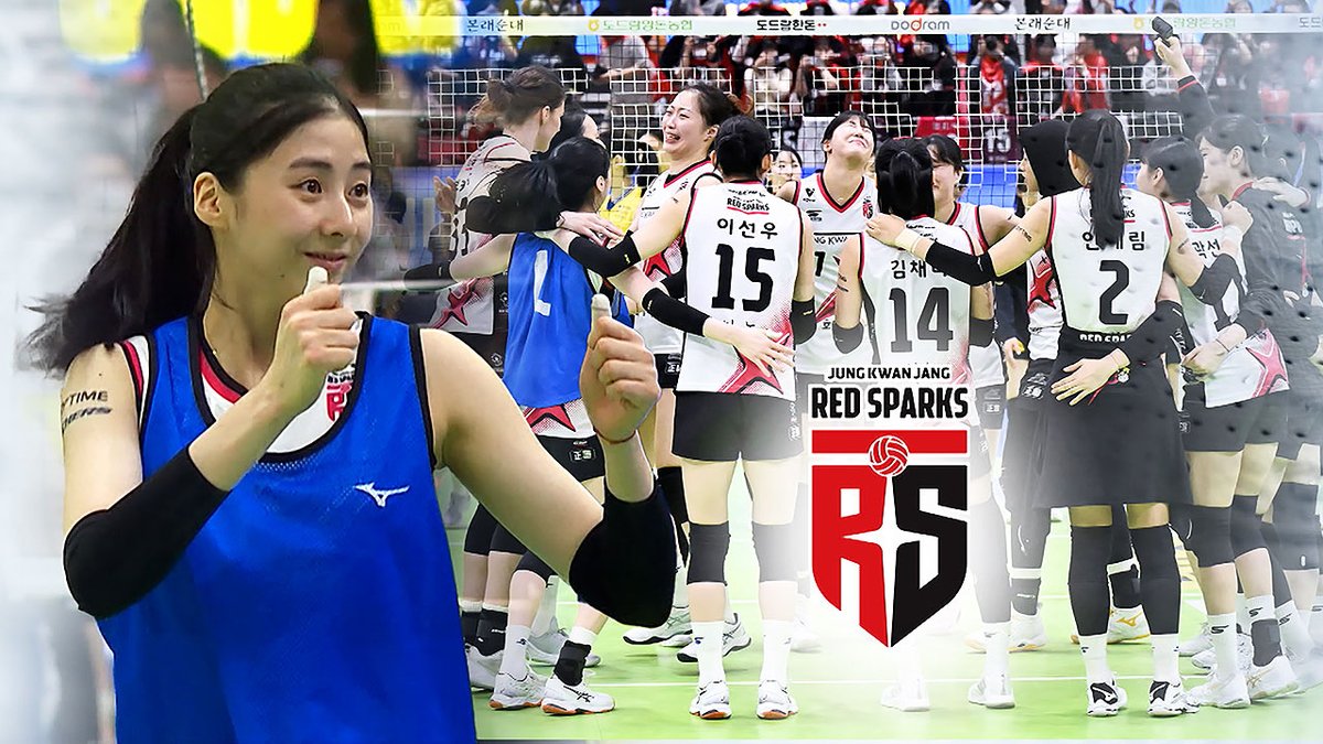 Indonesia Volleyball tweet media