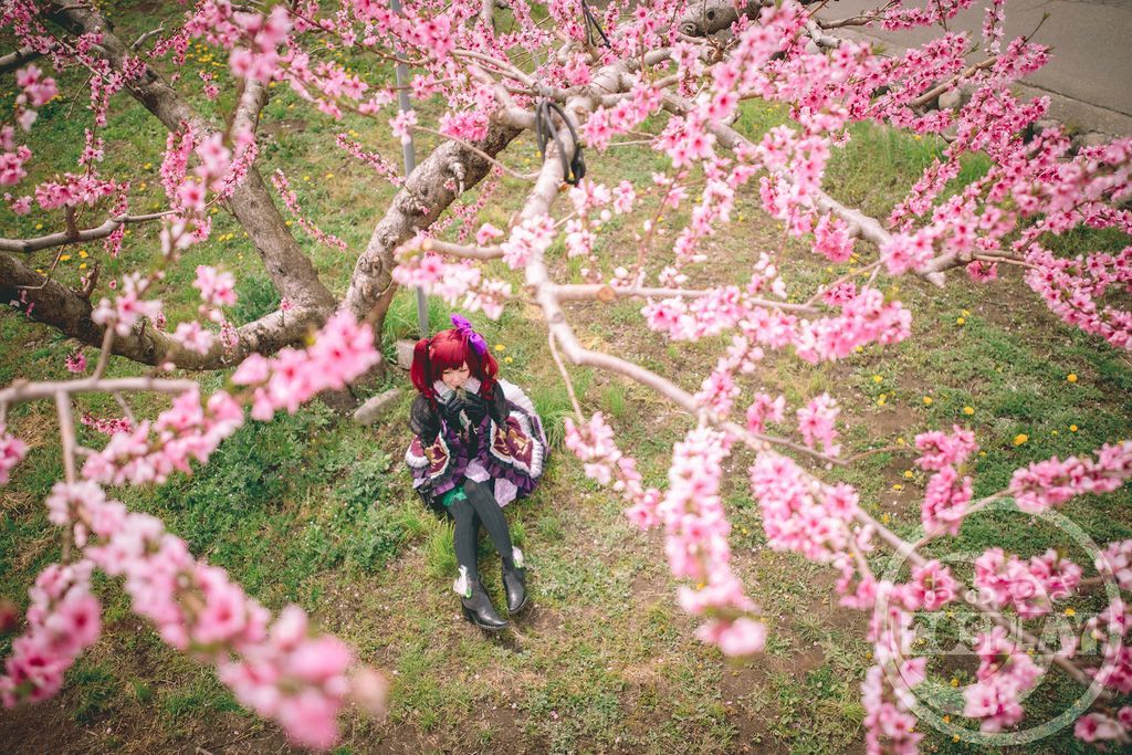 動画あり！！増田屋 LUNAR EXPEDITION（ルナ・エクスペディション） 𝘓𝘶𝟩 (@lunahoshiai) / Posts / X