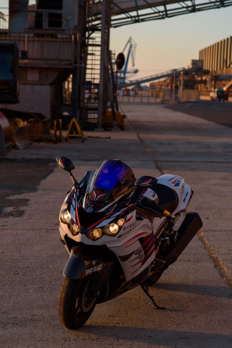 ろいにゃページ 今年もよろしくお願いしませう！