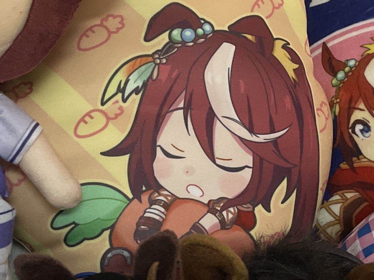 2期の時に発売されたクッションの裏面の方…… このイラストめちゃくちゃ
