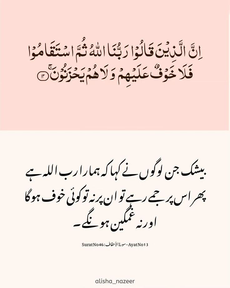 M.Irfan.k tweet media