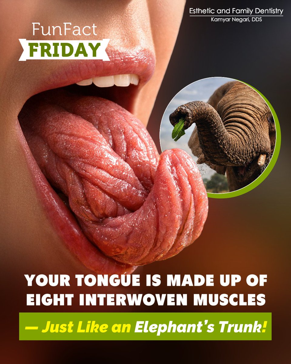 👅 Fun Fact Friday! 🐘💫

Your Tongue is Made Up of Eight Interwoven Muscles — Just Like an Elephant’s Trunk! 😝😲

This gives it incredible #strength and #flexibility to help you talk, taste, swallow, and keep your #smile fresh 😁🦷.

#FunFactFriday #DentalCare