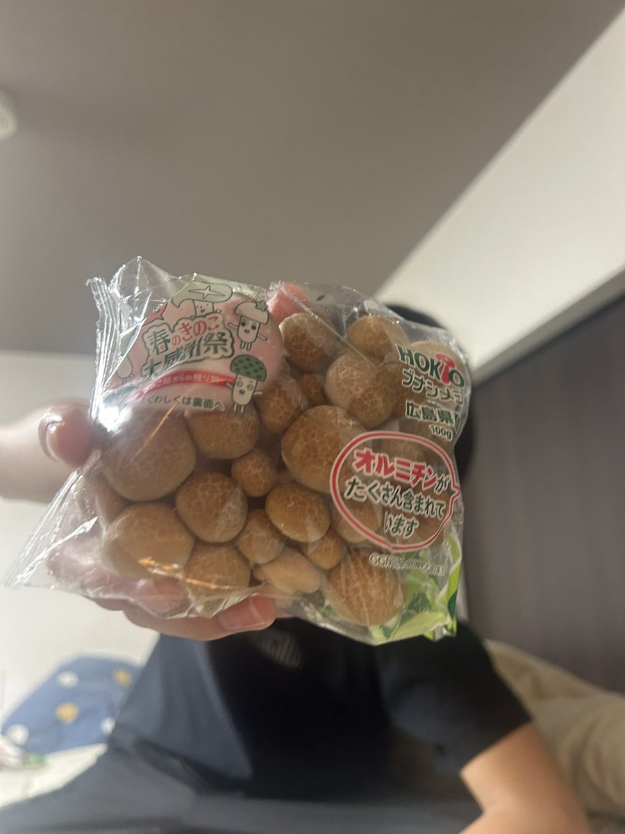 図鑑買ってあげたら…きのこブーム到来

鍋に入れる前に見せてあげた😮‍💨