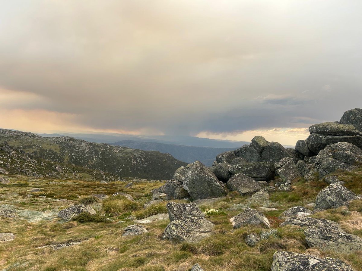 pinkusmoomoo's tweet photo. @abcnews
@3AW693 #Kosciusko #Corryongfire
Corryong fire from Mt Kosciusko this morning. Taken by my friend Charlie, who was hiking with my husband and son.. all home safe and sound now 👍 https://t.co/Qd7c6akE9s