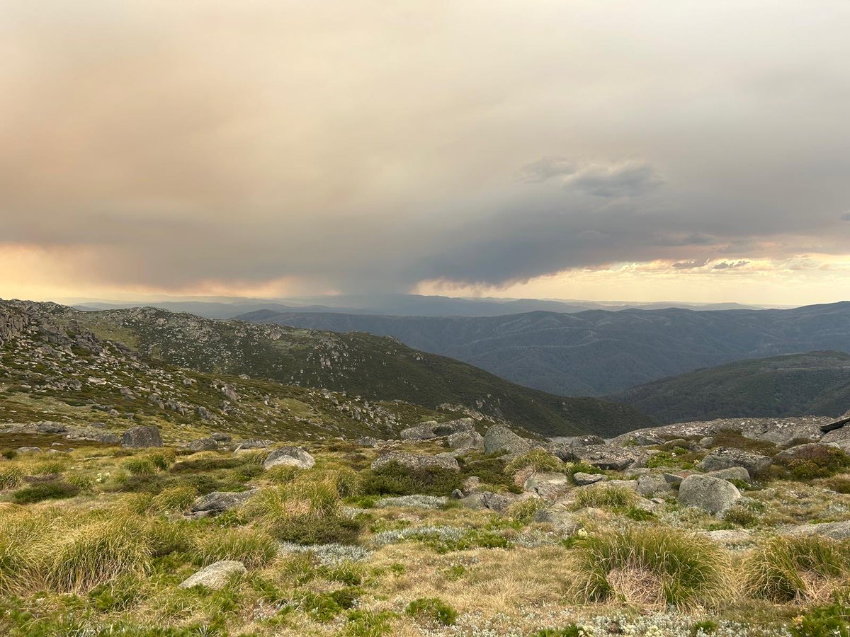 pinkusmoomoo's tweet photo. @abcnews
@3AW693 #Kosciusko #Corryongfire
Corryong fire from Mt Kosciusko this morning. Taken by my friend Charlie, who was hiking with my husband and son.. all home safe and sound now 👍 https://t.co/Qd7c6akE9s