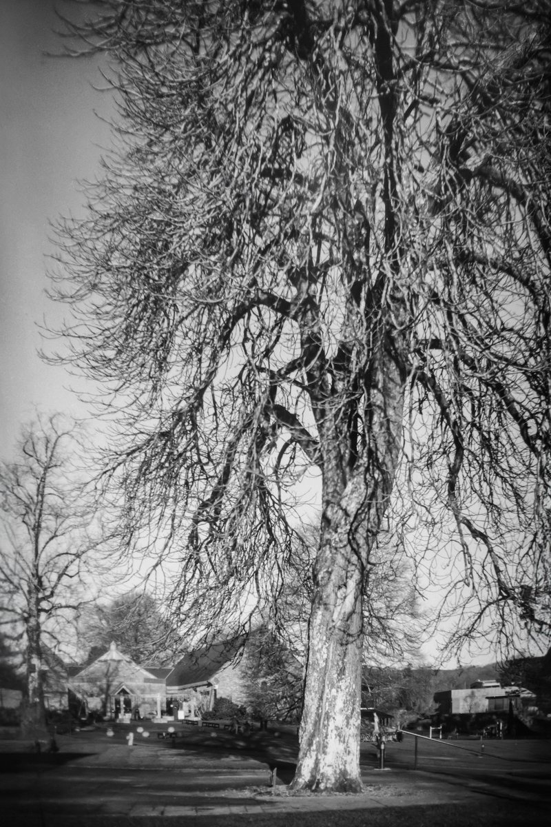 Steve Edwards #The Smoking Photographer tweet media