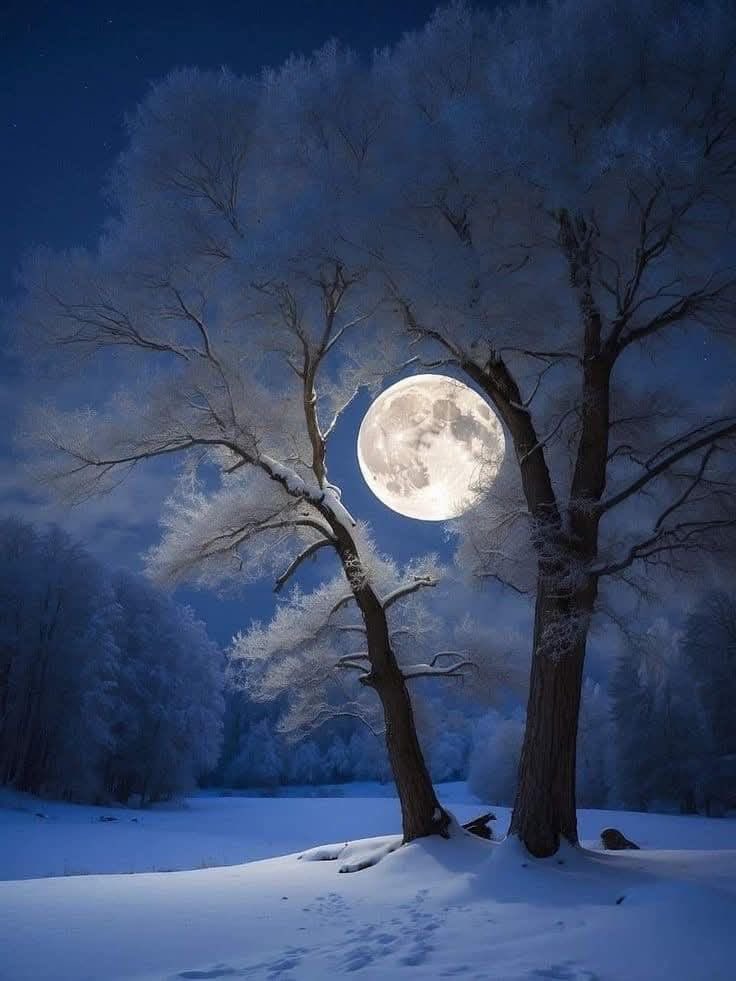 Sagita81774027's tweet image. Setiap ada harapan pasti ada rintangan
Setiap tujuan pasti ada ujian
Tidak mudah bukan berarti menyerah