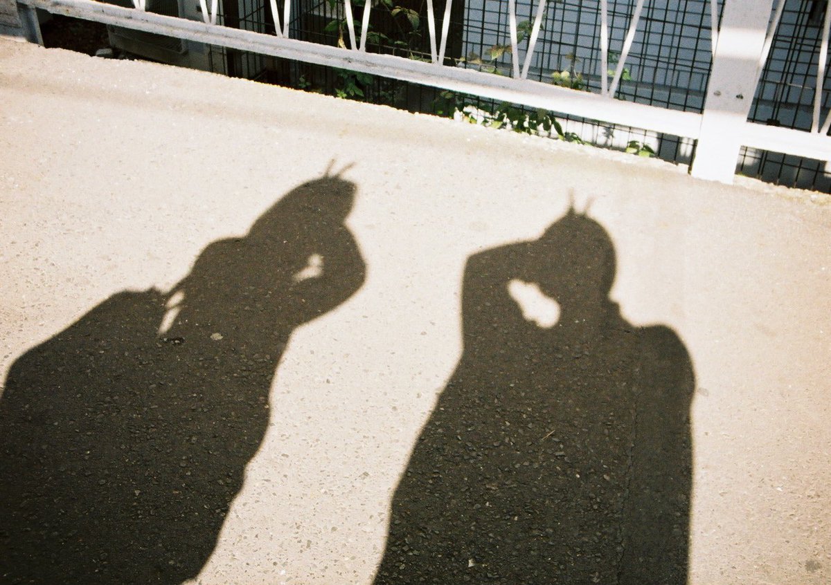 shachi_hata03's tweet image. 