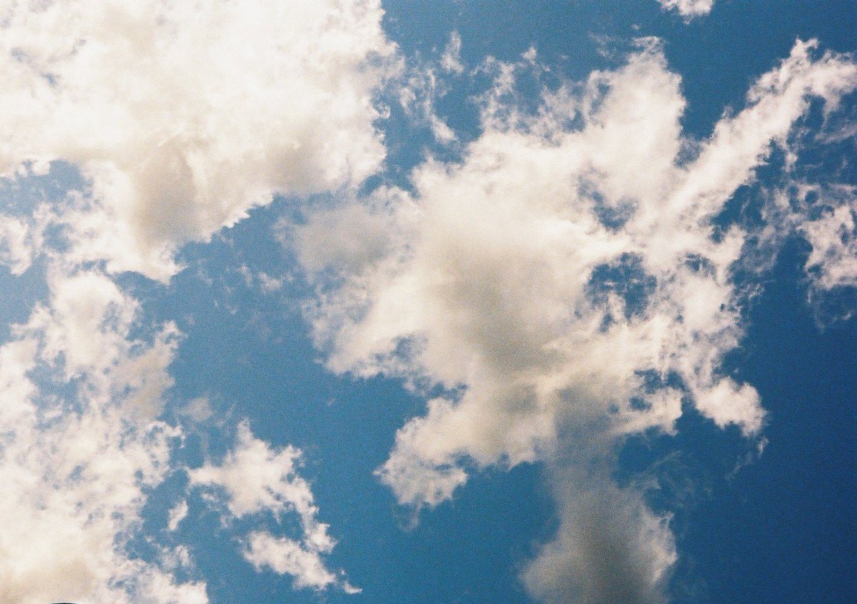 shachi_hata03's tweet image. 