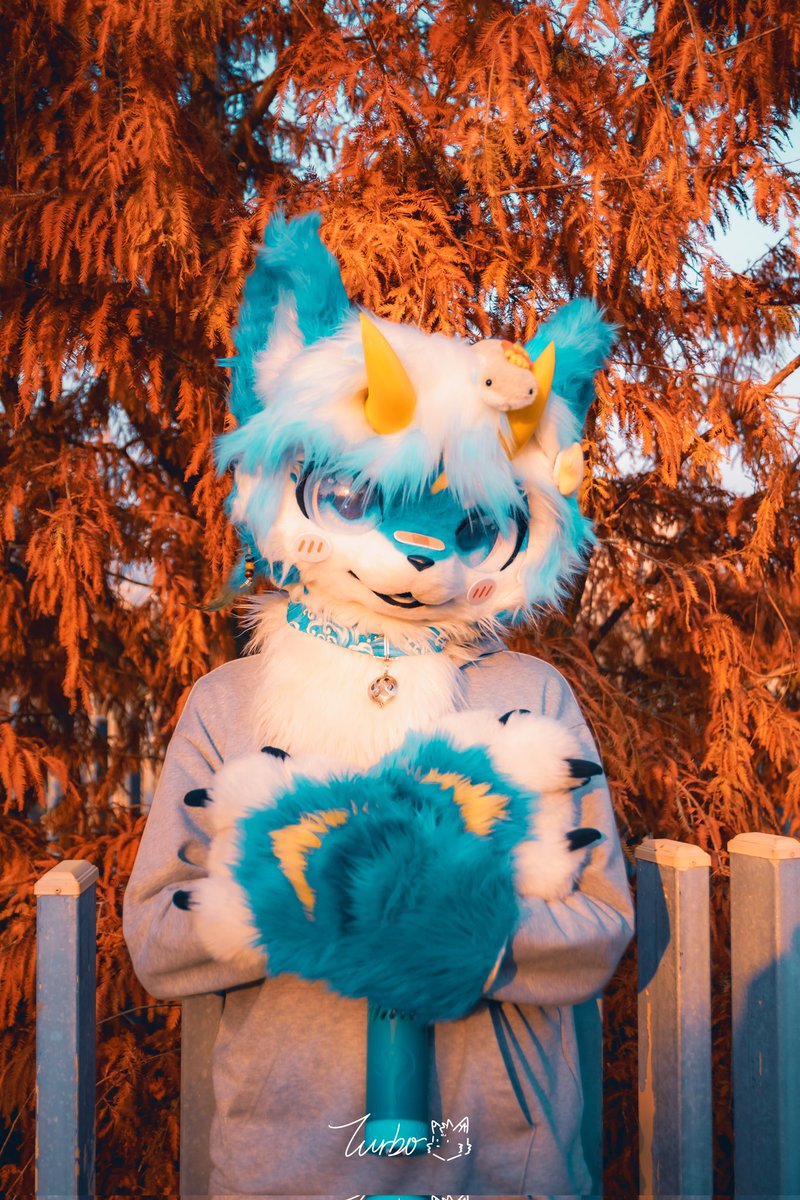 碧影Zeagle🔜郑州重生兽聚 tweet media