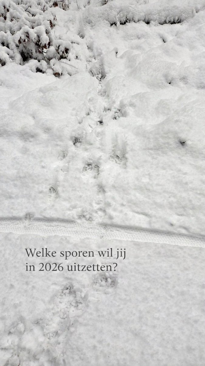 Maarten Tjallingii - leadership and growth tweet media