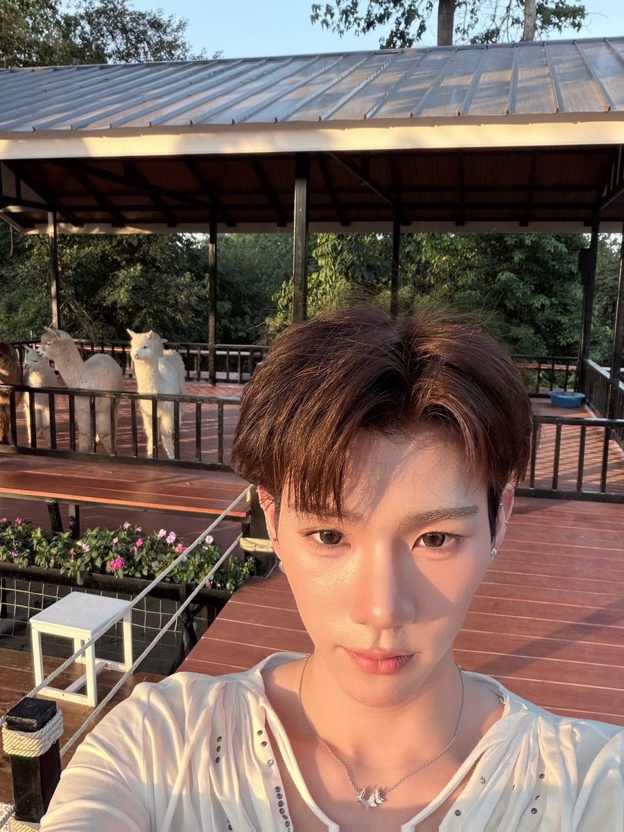 whoispluggy's tweet image. เด็กเลี้ยงแกะ⛰️⛰️⛰️