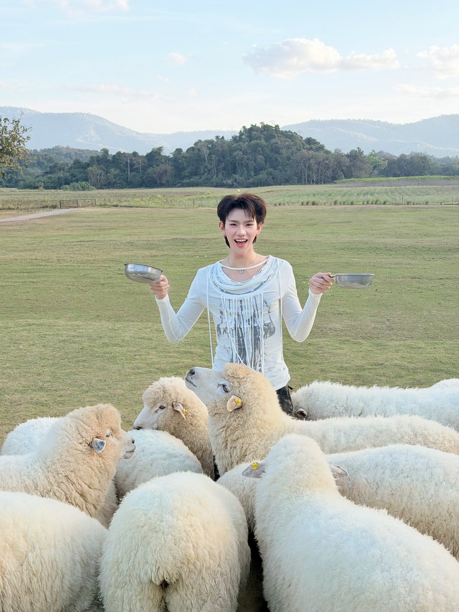 whoispluggy's tweet image. เด็กเลี้ยงแกะ⛰️⛰️⛰️