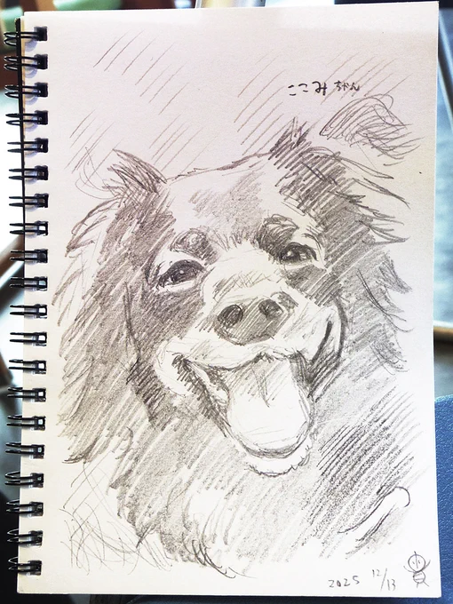 2025.12.13『水戸マルシェ Vol.38』でお描きした似顔絵、お客様に許可いただき掲載✍️😊
ニッコニコの笑顔で写ったお写真からお描きした、長毛フサフサ黒わんこのここみちゃんです✨️
#似顔絵 #鉛筆画 #ペットイラスト 
