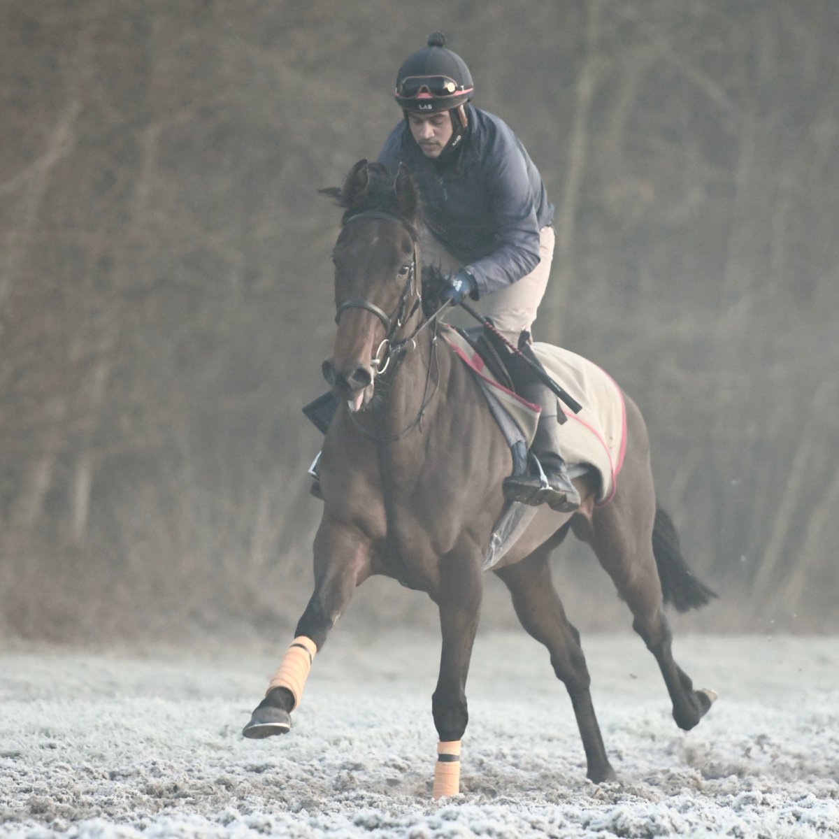 olivercoleracing tweet media