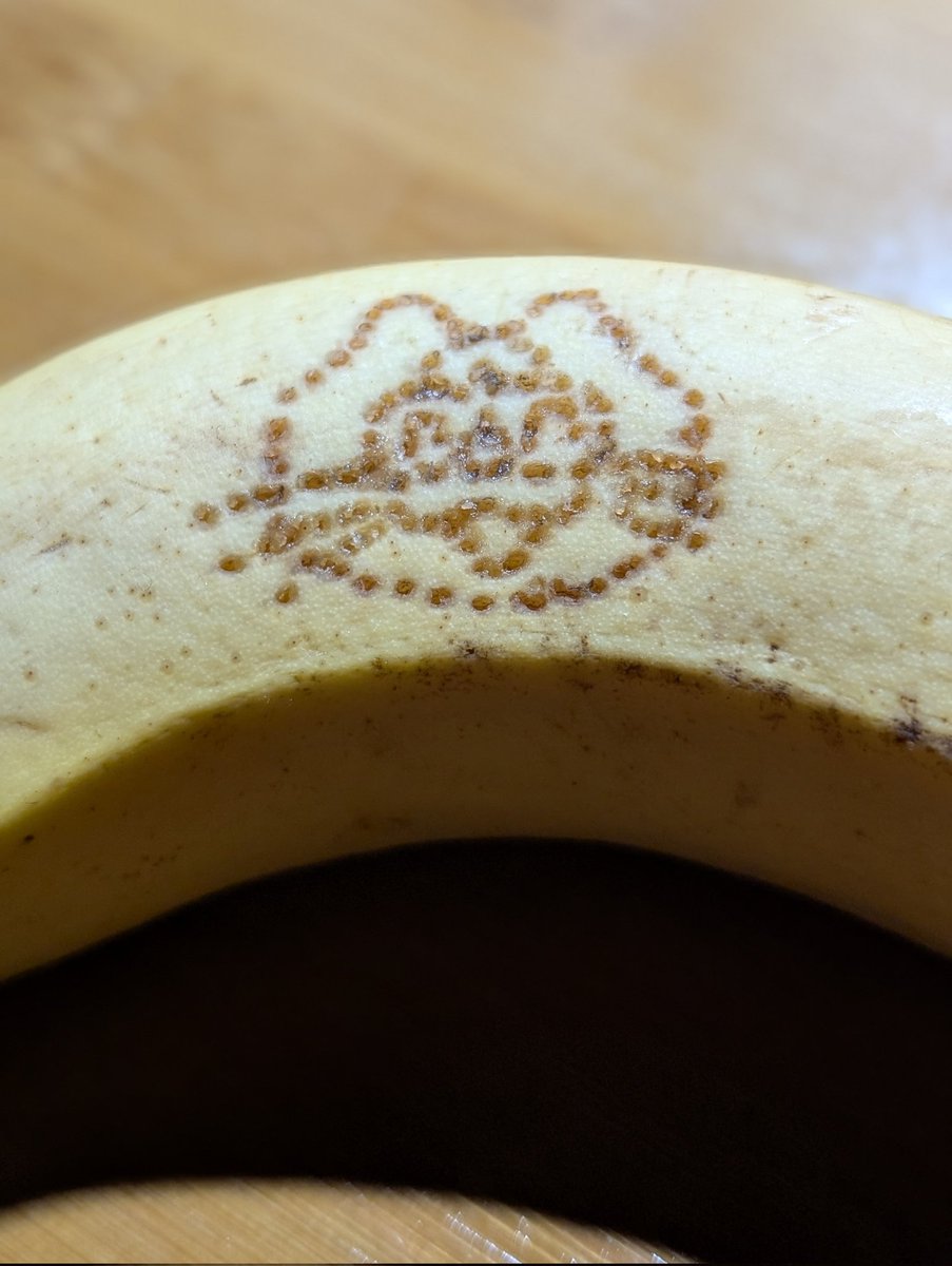 ⭐️バンビです ばんび🦌 (@ank__mochi) / Posts / X