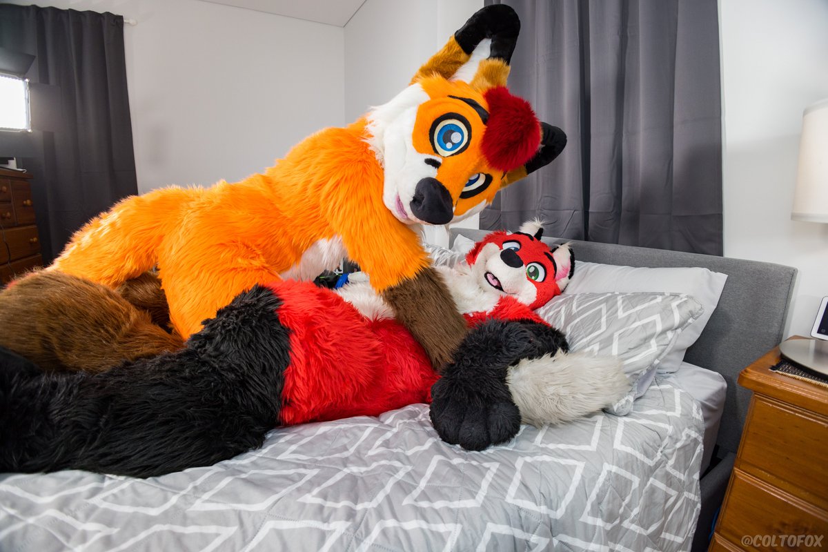 Colto Fox tweet media