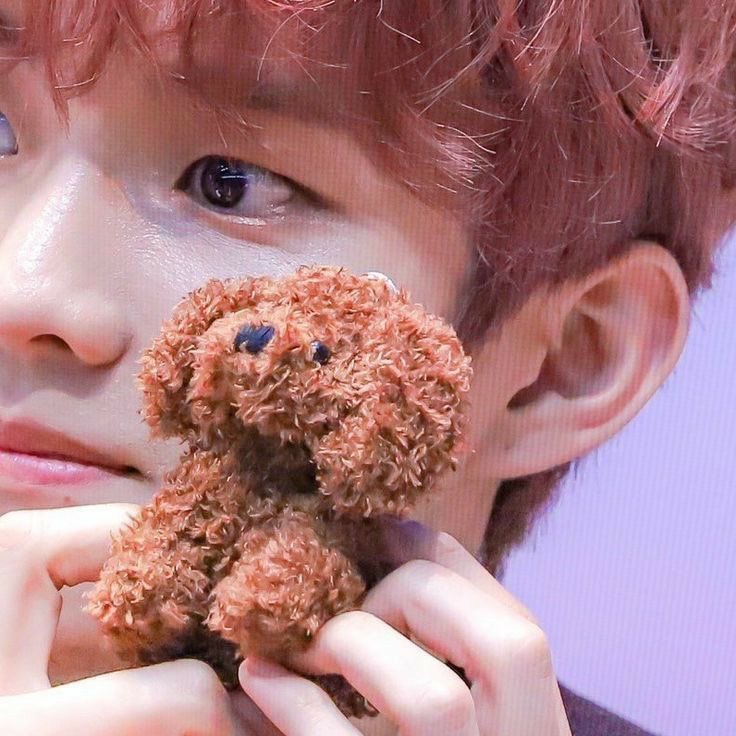 codenamekyu's tweet image. 