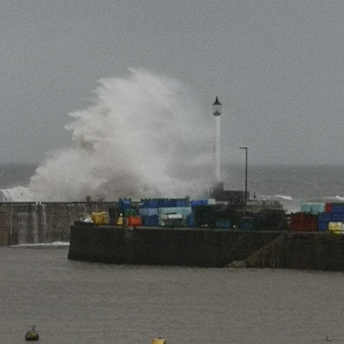 Angela Bare Bridlington tweet media