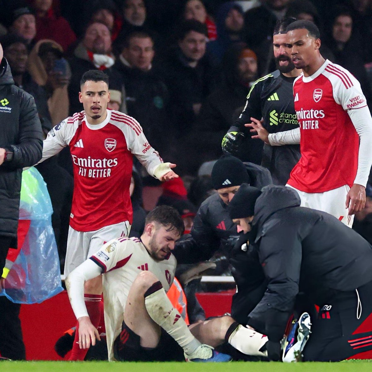DailyAFC tweet media