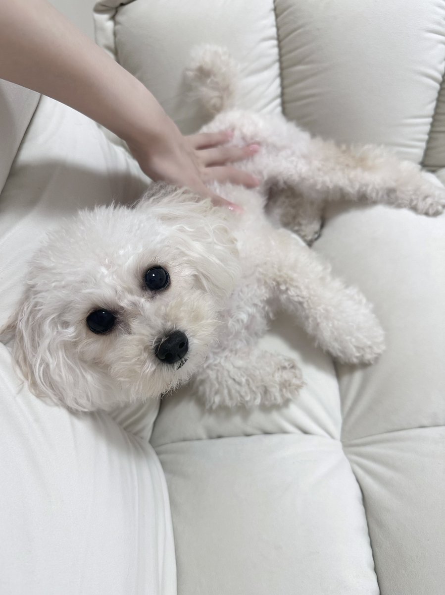 さややん様 谷崎早耶 (@tanizaki_saya__) • Instagram photos and videos