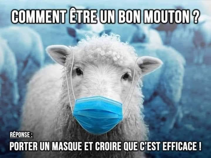 Jean-Louis CLABAUT (@jeannollet1) on Twitter photo 