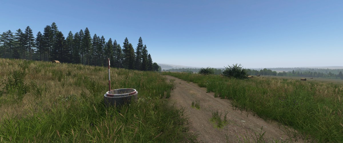 Spaggie tweet media