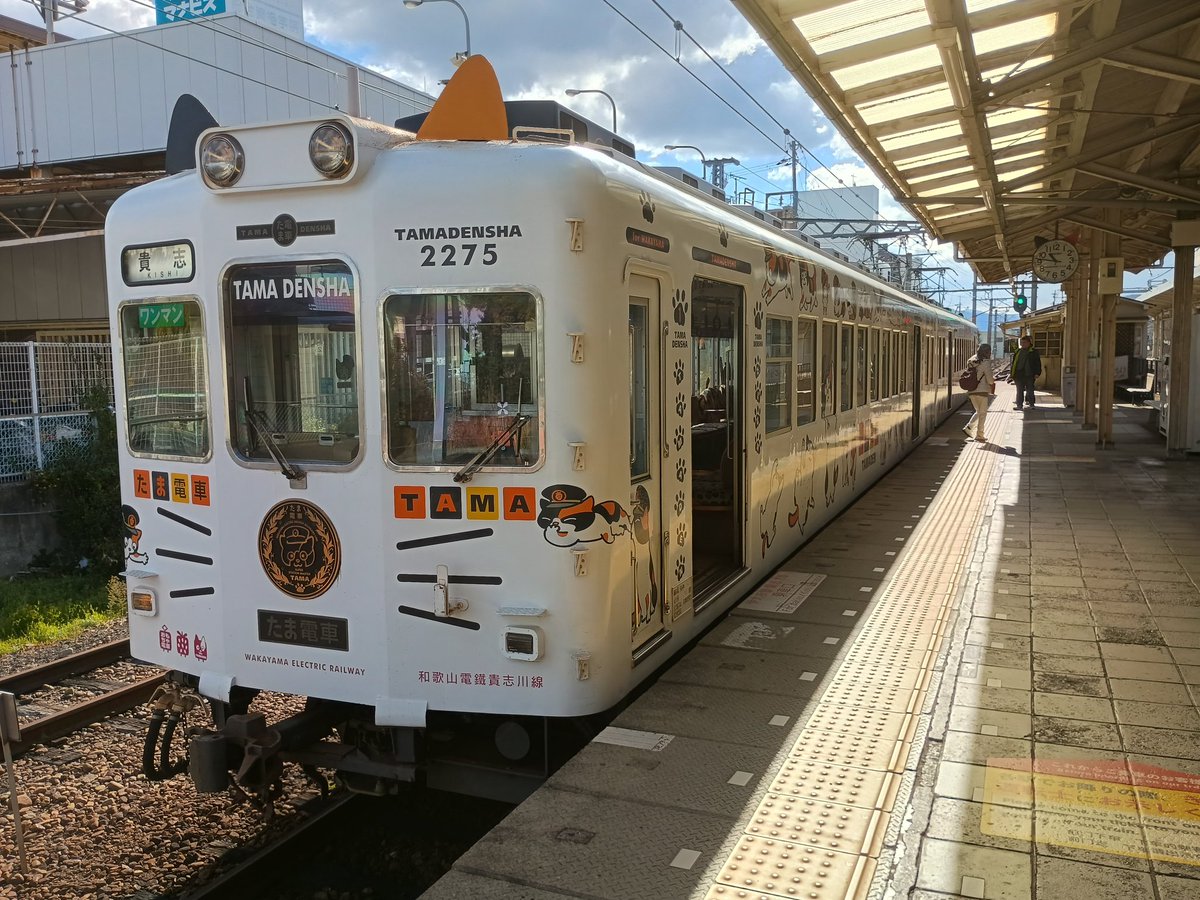 どんくん (@donkun999) / Posts / X