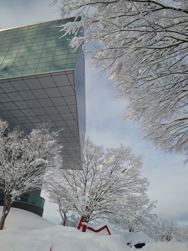 今朝の景色をお届けします🎁