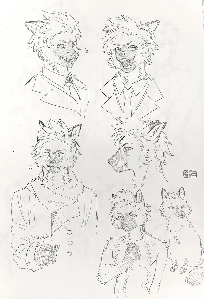 丹麦大狐狸
用画人的方法画毛茸茸确实会顺手一点