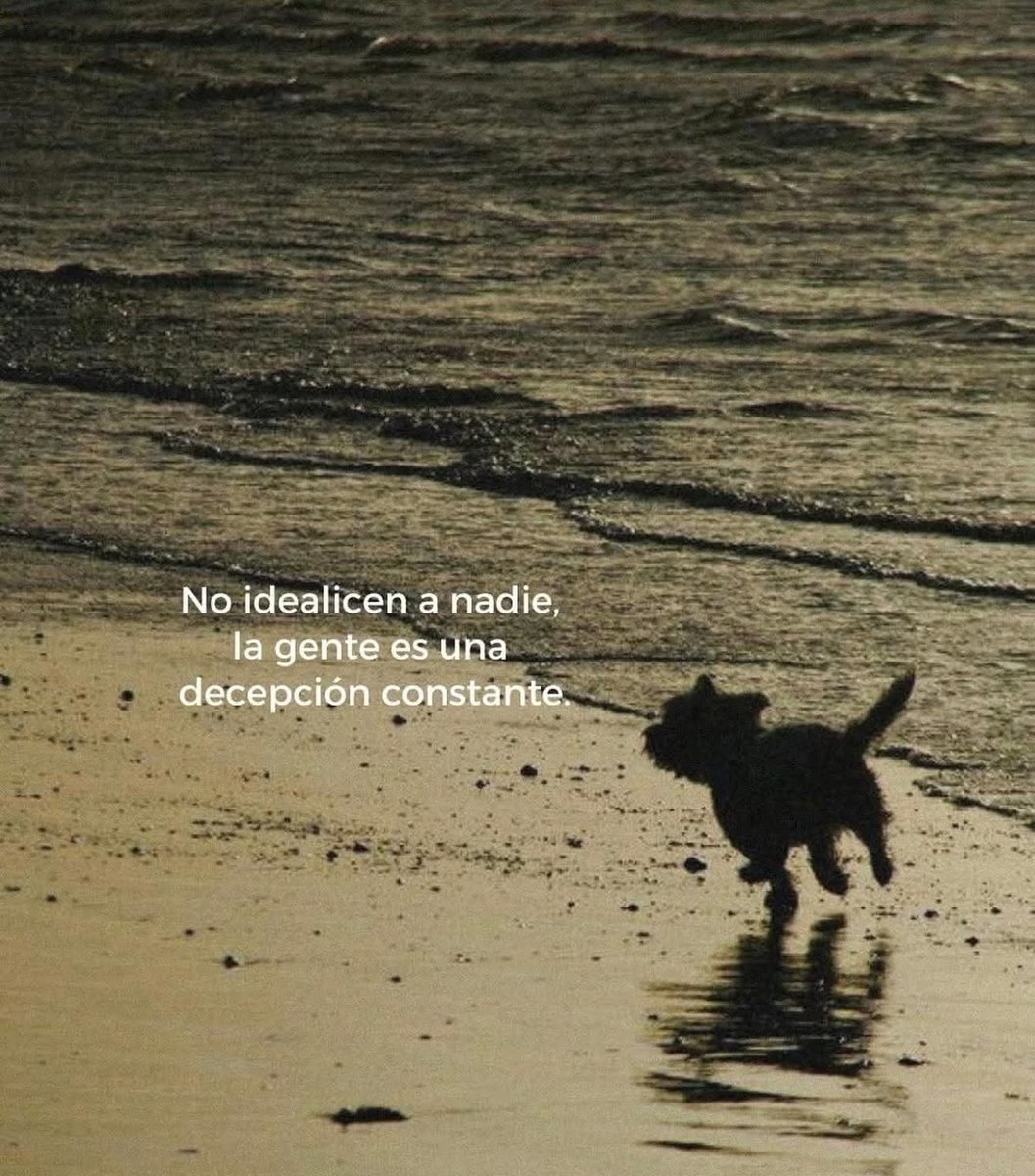 BANDIDOS (@bandidosfrasess) on Twitter photo 