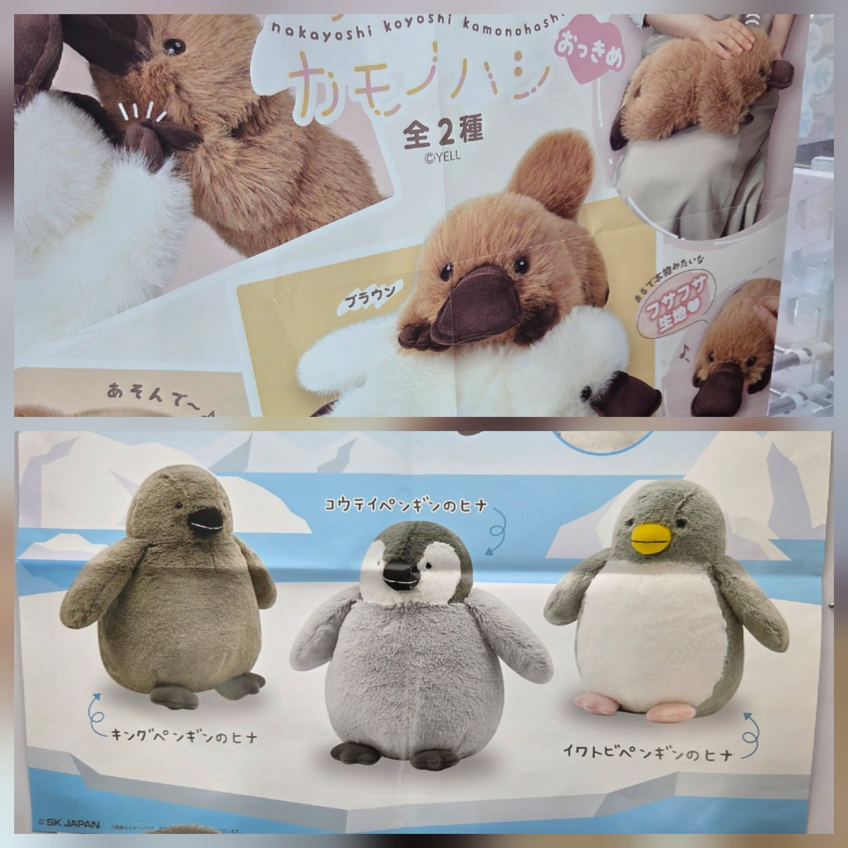 新景品入荷情報🧸】 星のカービィ︎🌟Kirby☆Diary homeふわふわ