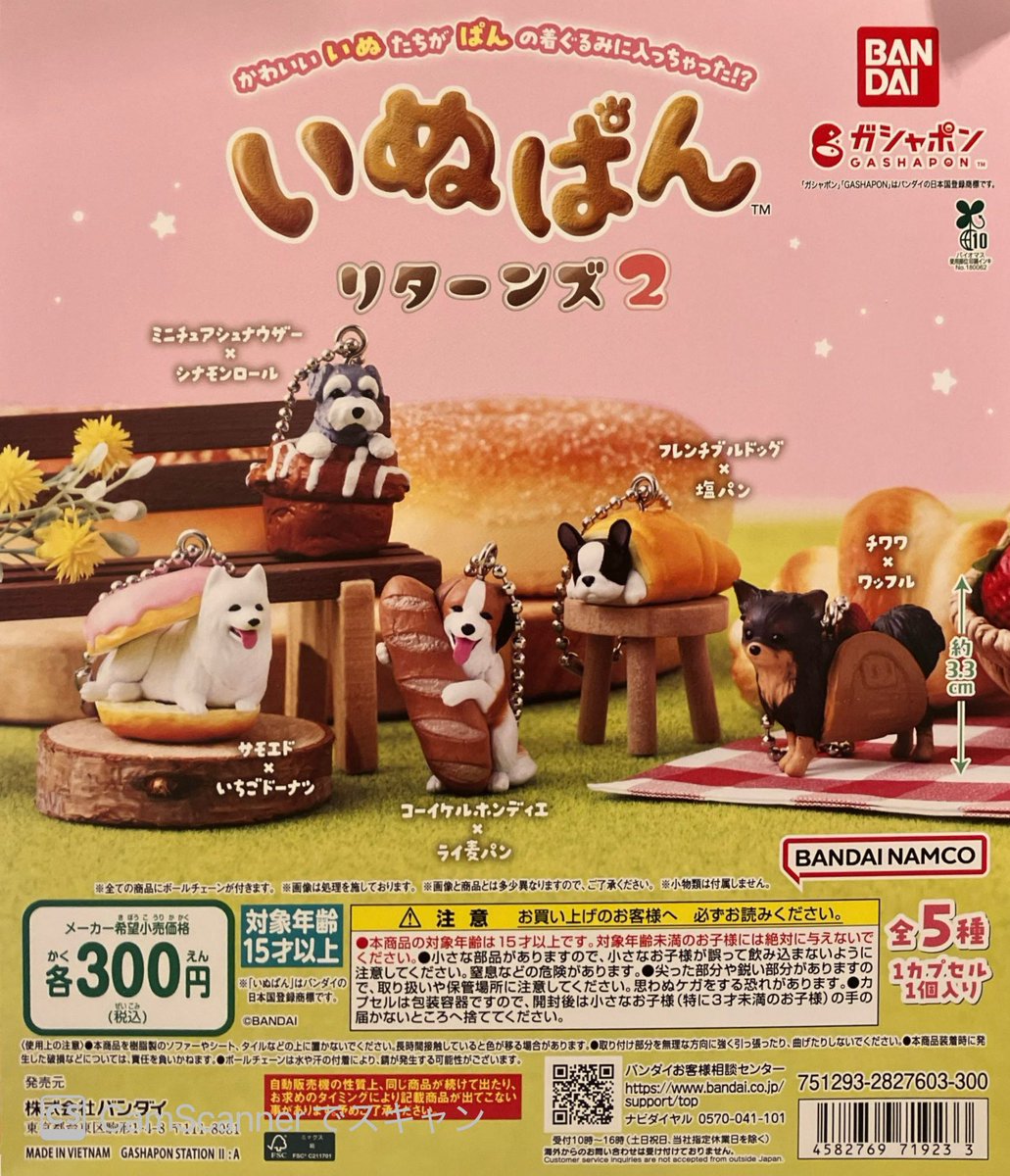 🐕‍🦺スタッフのオススメ🐕‍🦺 ▶︎いぬぱん リターンズ2 大人気