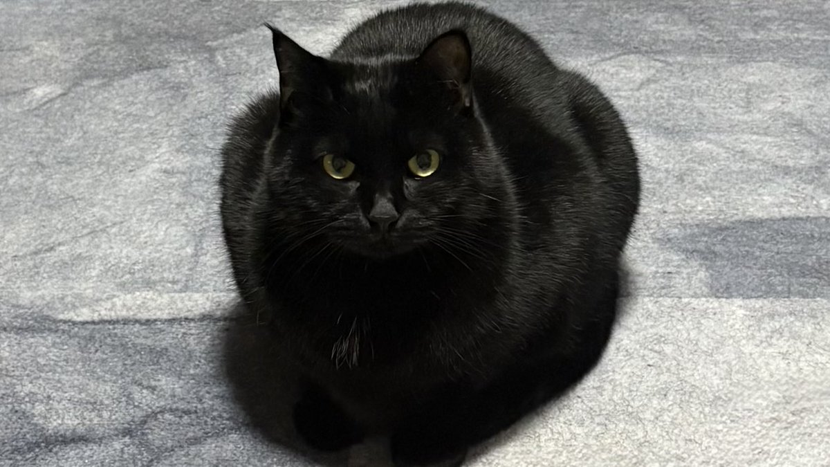 ひとつうえのおとこ【D】 tweet media